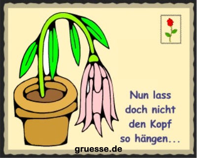 grusskarte-spass-q-gemischt_003