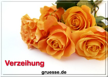 grusskarte-diverses-verzeihung-q_006