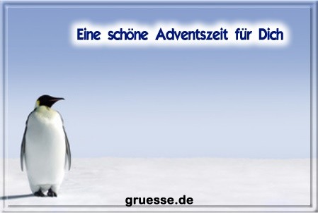 grusskarte-festtage-advent-winterfotos-q_016