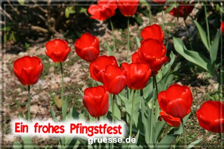 grusskarte-festtage-pfingsten-fotos-q_001