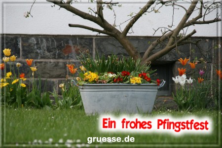 grusskarte-festtage-pfingsten-fotos-q_006