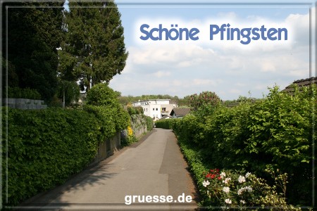 grusskarte-festtage-pfingsten-fotos-q_019