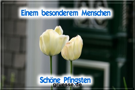 grusskarte-festtage-pfingsten-fotos-q_022