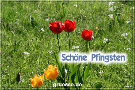 grusskarte-festtage-pfingsten-fotos-q_035