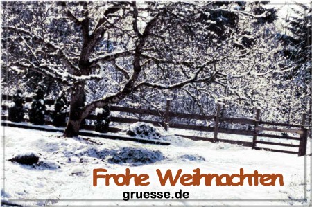 grusskarte-festtage-weihnachten-art-3-q_013