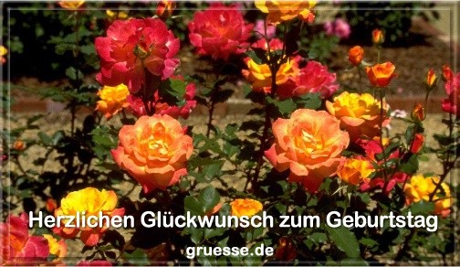 grusskarte-glueckwuensche-geburtstag-blumen-q_020