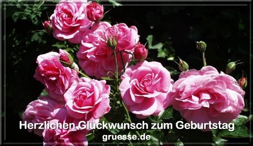 grusskarte-glueckwuensche-geburtstag-blumen-q_021