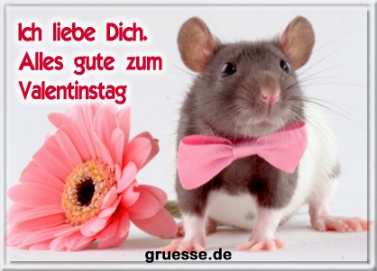 grusskarte-glueckwuensche-valentinstag-allgemein-q_012
