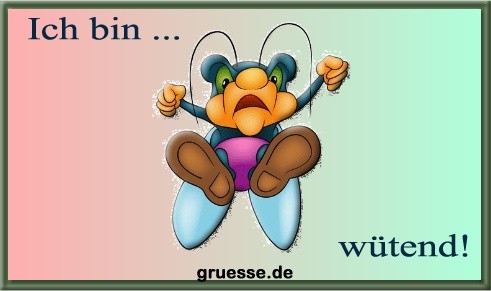 ich-bin-ich-bin-wuetend_008