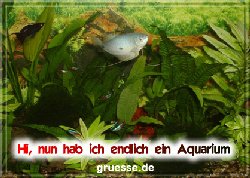grusskarte-diverses-aquarianer-q_003