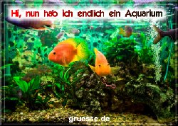 grusskarte-diverses-aquarianer-q_005
