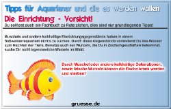 grusskarte-diverses-aquarianer-q_010
