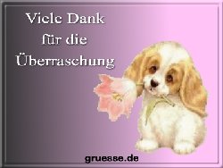 grusskarte-diverses-danke-q_022