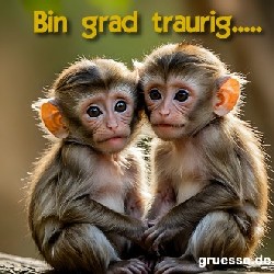 diverses_001