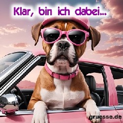 diverses_018