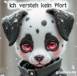 diverses_088