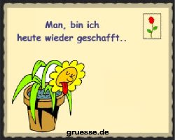 grusskarte-spass-q-gemischt_002