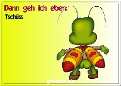 grusskarte-spass-q-gemischt_054