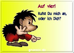 grusskarte-spass-q-gemischt_094