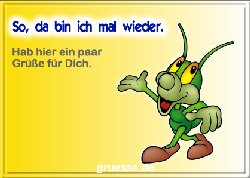 grusskarte-spass-q-gemischt_112