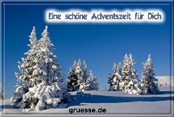 grusskarte-festtage-advent-winterfotos-q_012