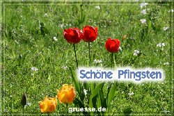 grusskarte-festtage-pfingsten-fotos-b_035
