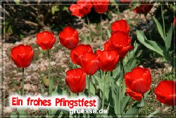 grusskarte-festtage-pfingsten-fotos-q_001