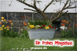 grusskarte-festtage-pfingsten-fotos-q_006