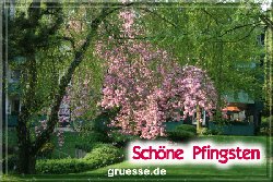 grusskarte-festtage-pfingsten-fotos-q_007