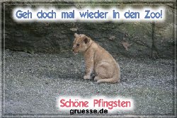 grusskarte-festtage-pfingsten-fotos-q_032