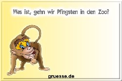 grusskarte-festtage-pfingsten-standard-q_008