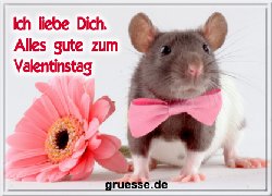 grusskarte-glueckwuensche-valentinstag-allgemein-q_012