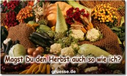 zeiten-jahreszeit-herbst_009