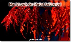zeiten-jahreszeit-herbst_015
