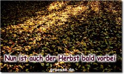 zeiten-jahreszeit-herbst_016