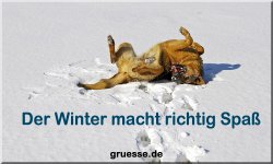 zeiten-jahreszeit-winter_022