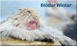 zeiten-jahreszeit-winter_024