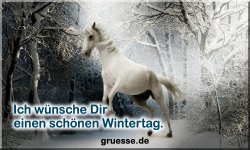 zeiten-jahreszeit-winter_025