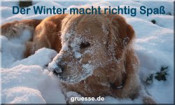 zeiten-jahreszeit-winter_030
