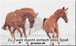 zeiten-jahreszeit-winter_035