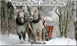 zeiten-jahreszeit-winter_044