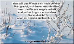 zeiten-jahreszeit-winter-zitate_005