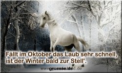 zeiten-jahreszeit-winter-zitate_006
