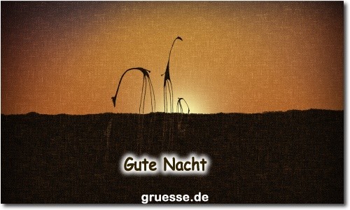 zeiten-gute-nacht_030