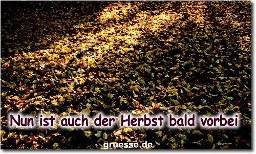 zeiten-jahreszeit-herbst_016