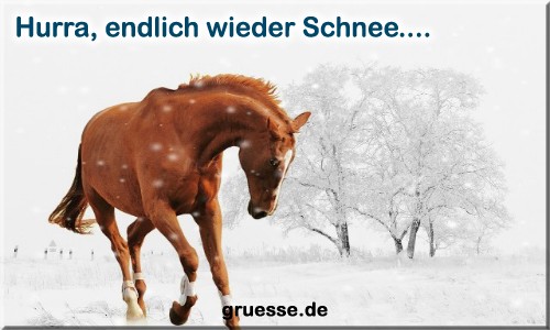 zeiten-jahreszeit-winter_033