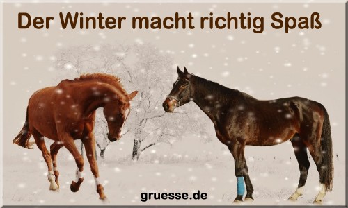 zeiten-jahreszeit-winter_034