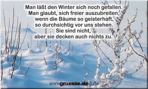 zeiten-jahreszeit-winter-zitate_005