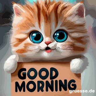 zeiten-guten-morgen_006